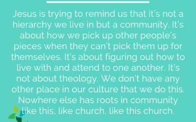 Stewardship means service, oak trees and community