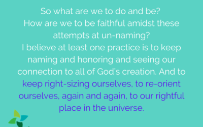 Holy Groundedness: Right-Sizing as Connection with Creation