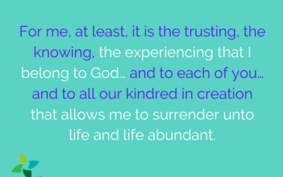 Belonging, Surrender, Repair