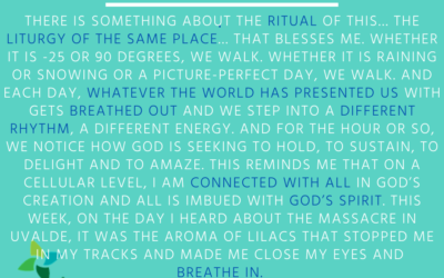 Memorial Day and Service of Remembrance